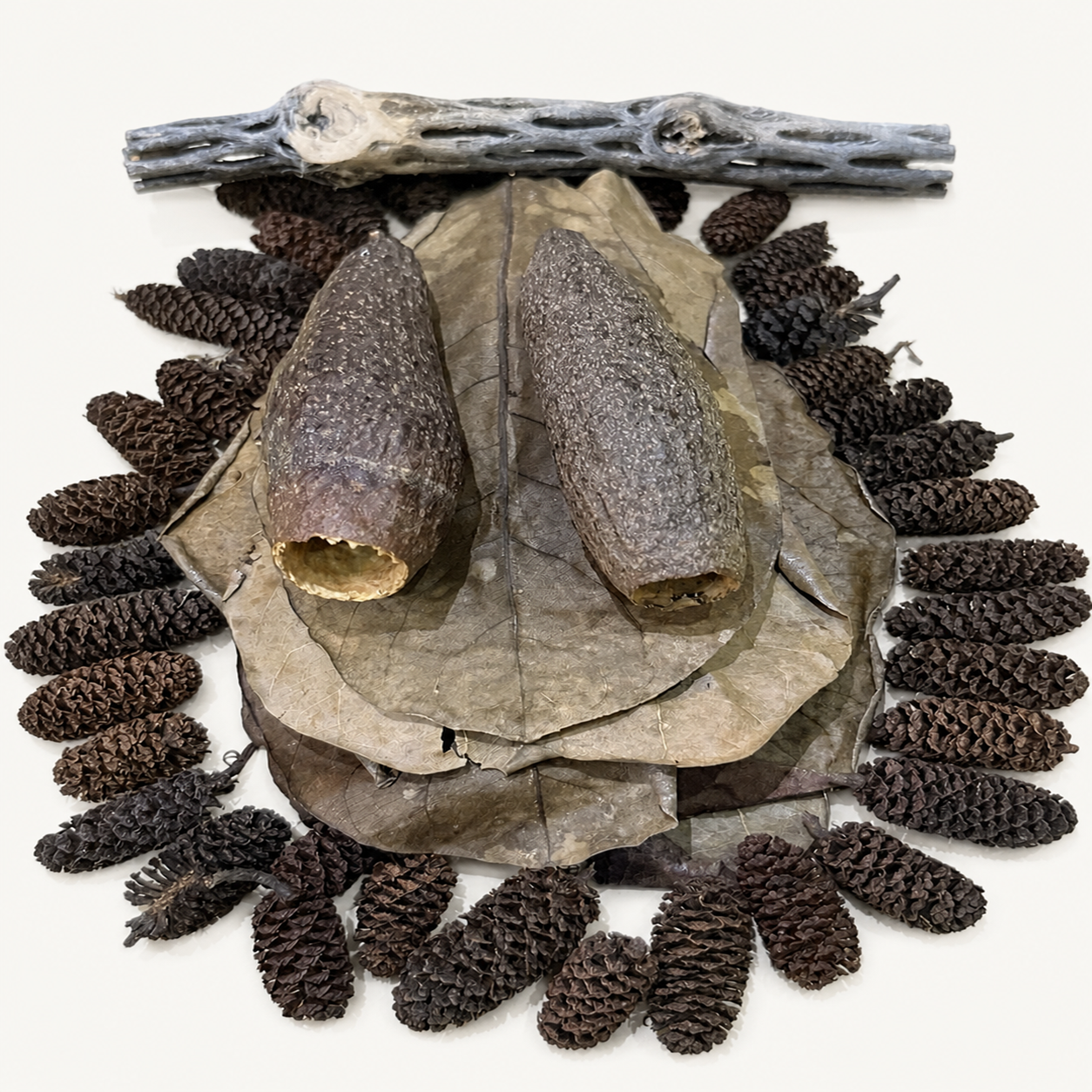Blackwater Botanical Bundle product image