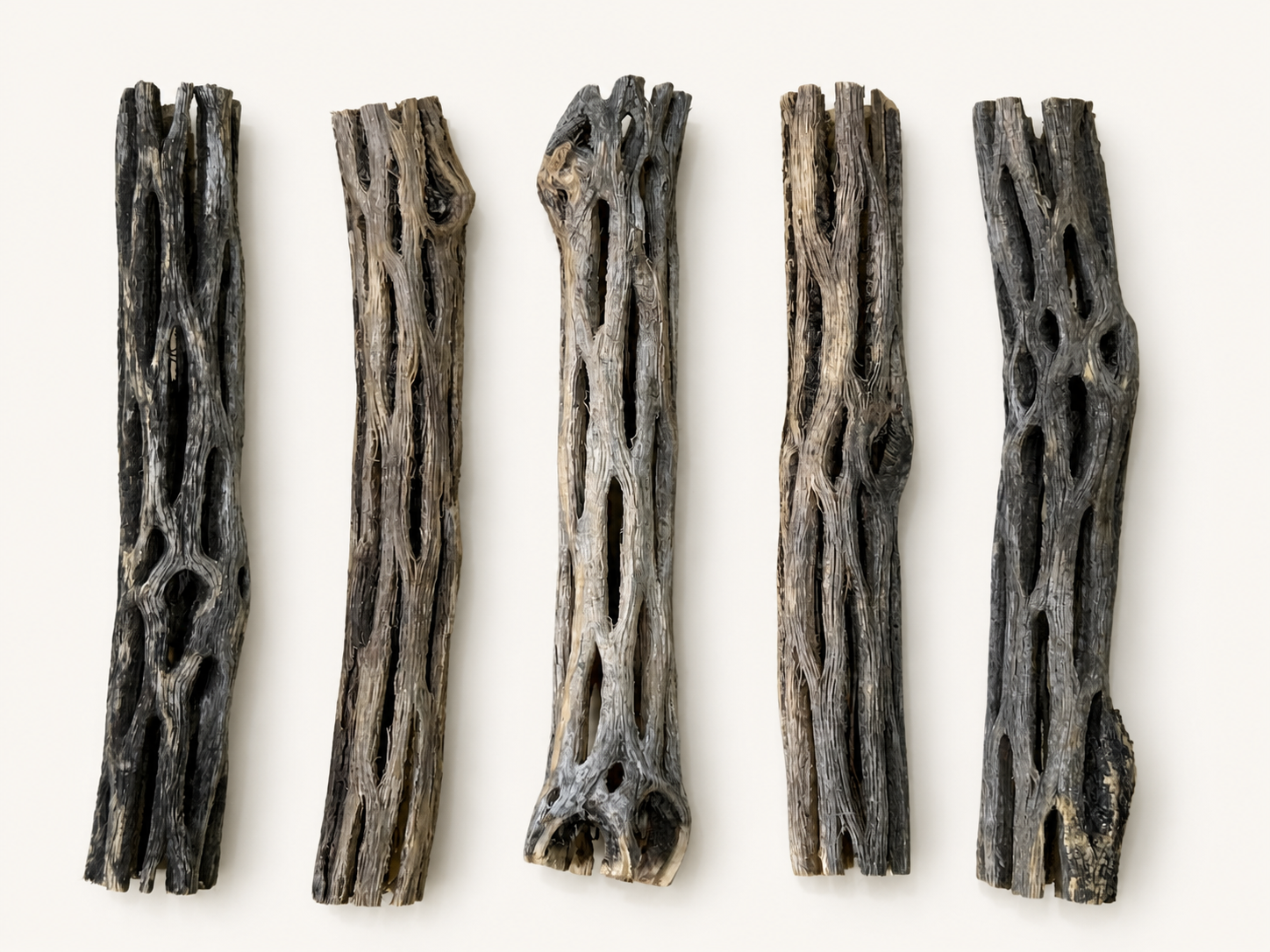 BBA catalogue photograph: Cholla Wood / Cactus Skeleton