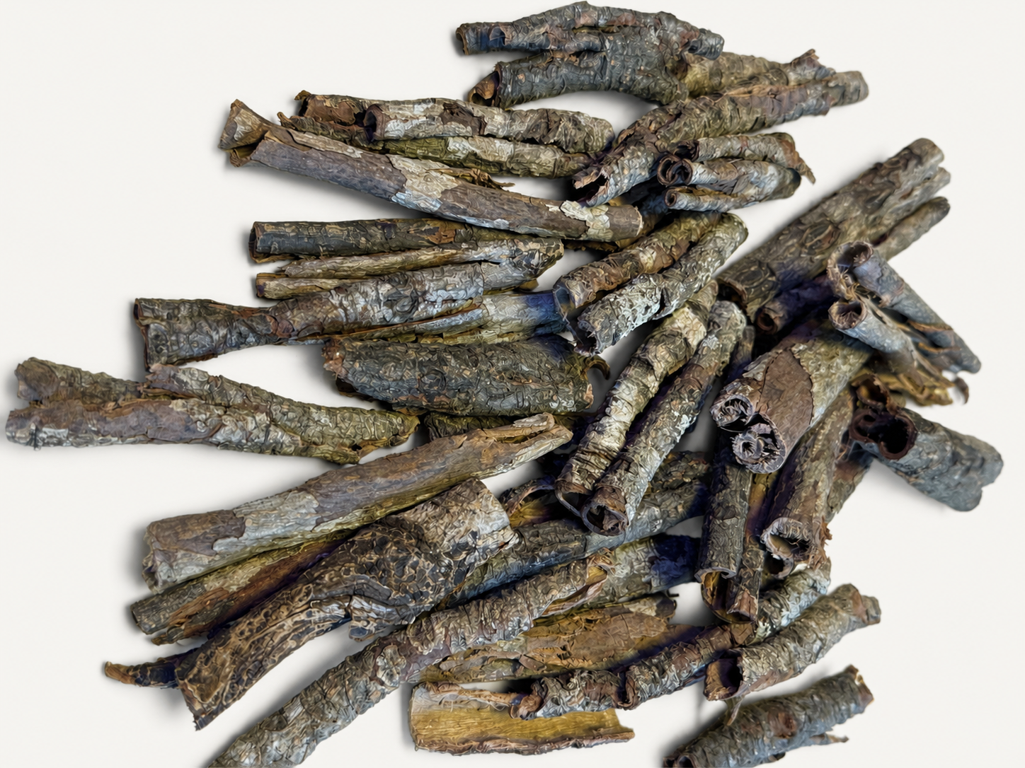 BBA catalogue photograph: Catappa Bark Tubes – Indian Almond Bark Hiding Tubes
