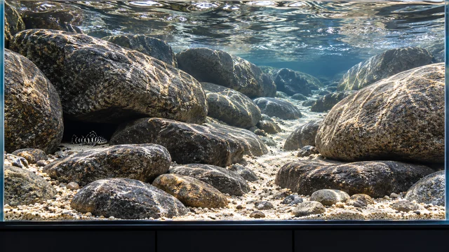Clear-water stone-channel aquarium with stable grey boulders, open flow routes and narrow sandy seams.