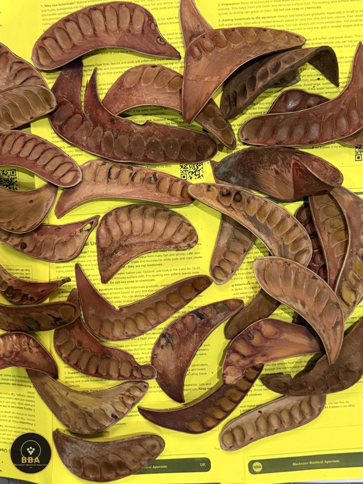 AquaCurl – Natural Curled Botanical Pods thumbnail 2