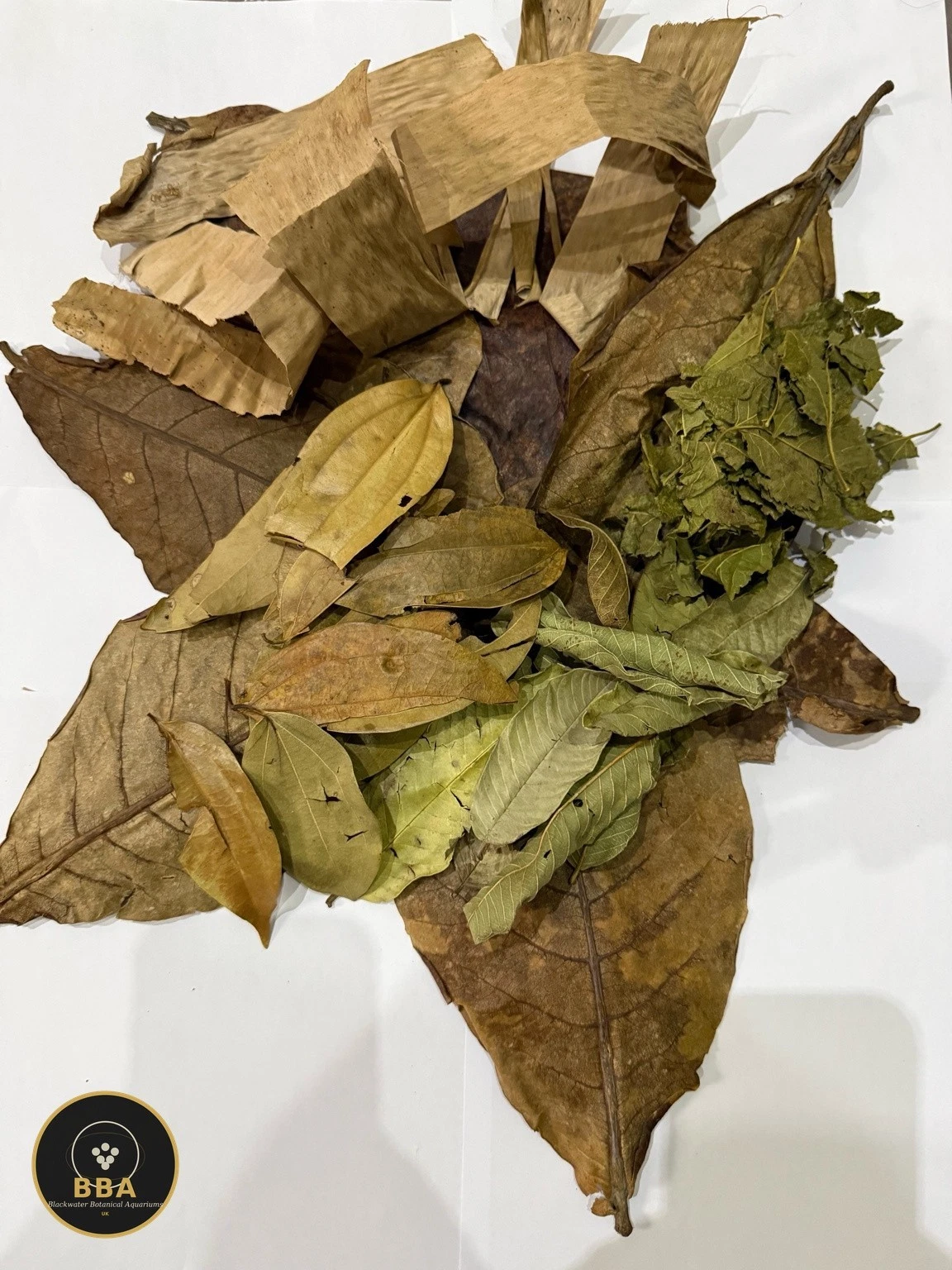 Blackwater Leaf Box – Leaf Litter Starter Mix thumbnail 3