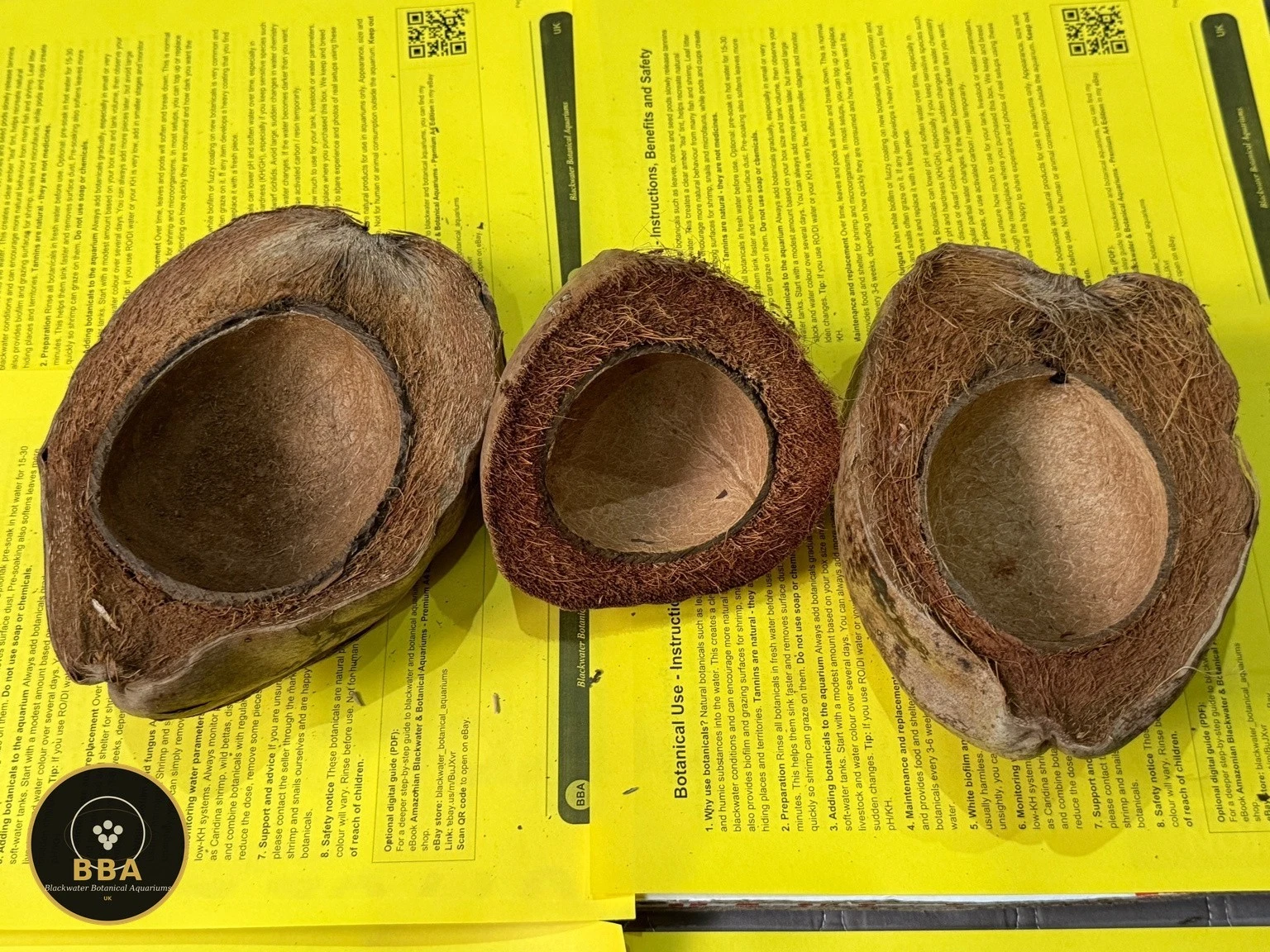 Coconut Cup (Cocos nucifera) – Natural Botanical Cave thumbnail 2