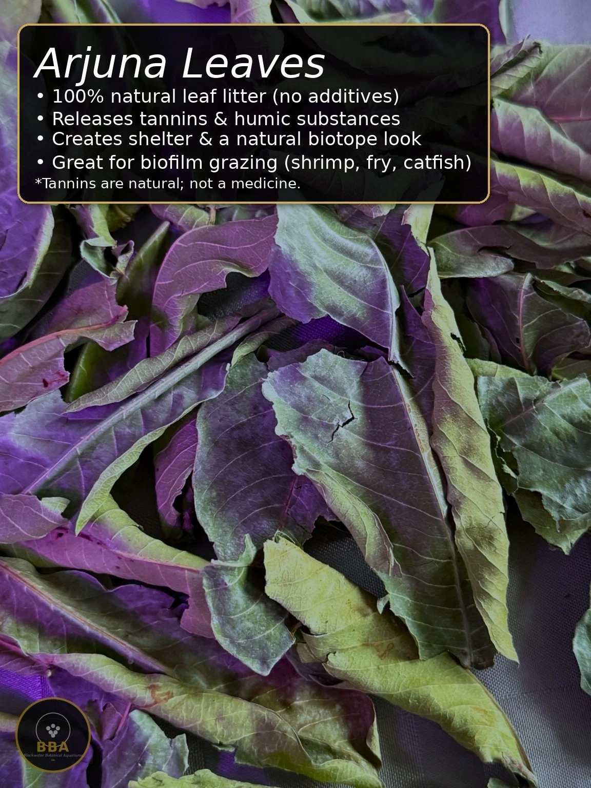 Dried Arjuna Leaves (Kumbuk) – Natural Aquarium Leaf Litter thumbnail 2