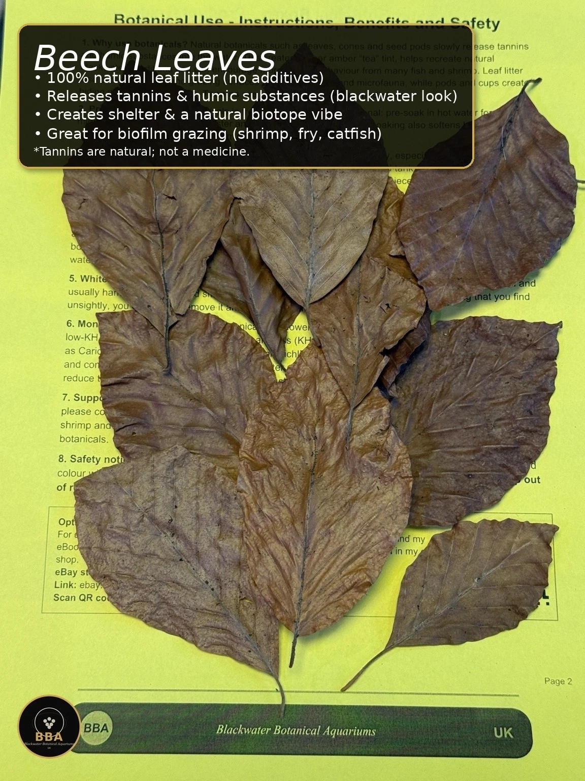 Dried Beech Leaves (Fagus sp.) – Natural Aquarium Leaf Litter thumbnail 2