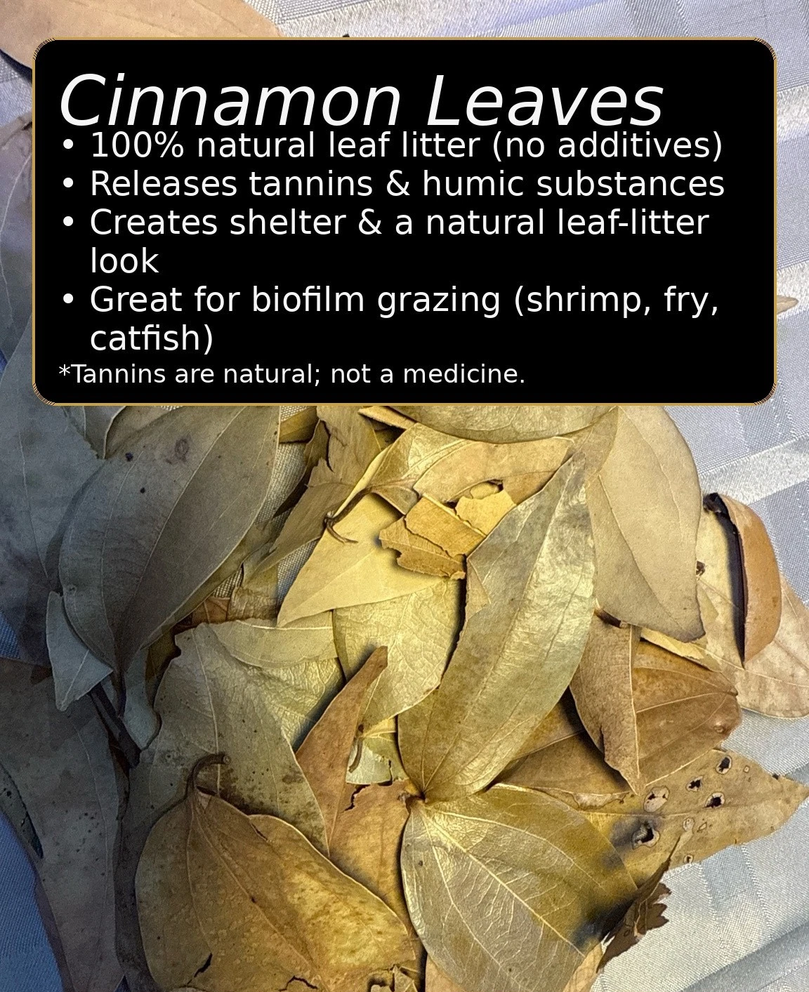 Dried Cinnamon Leaves – Natural Aquarium Leaf Litter thumbnail 2