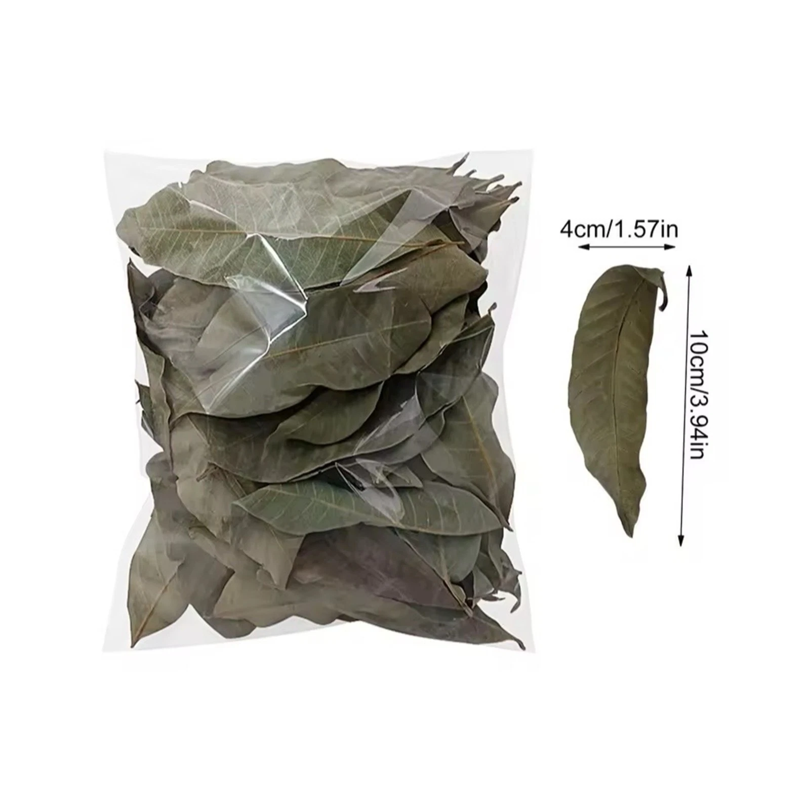 Dried Longan Leaves – Natural Aquarium Leaf Litter thumbnail 2