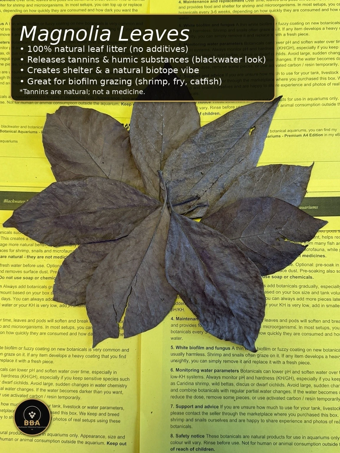 Dried Magnolia Leaves – Natural Aquarium Leaf Litter thumbnail 2