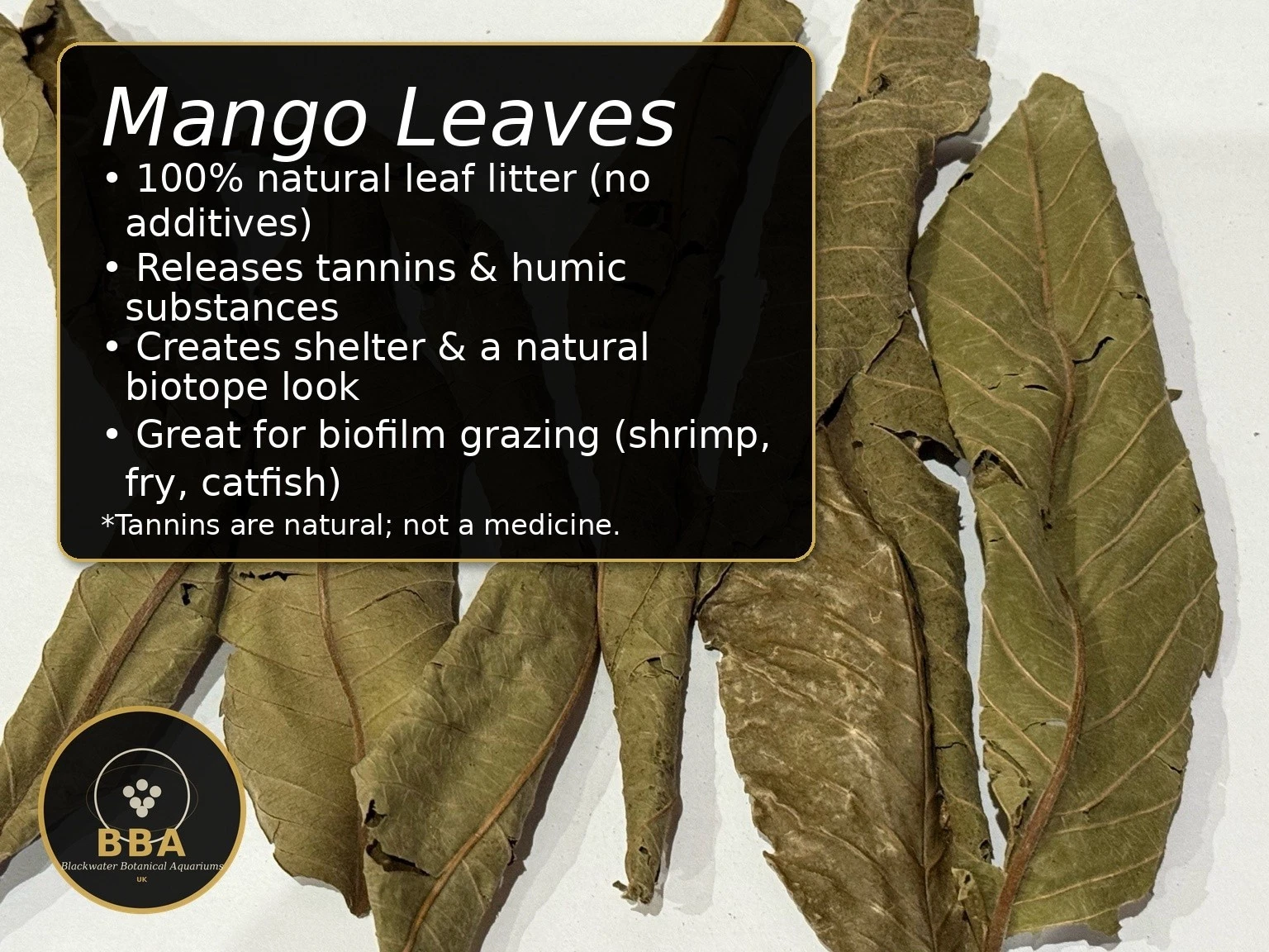 Dried Mango Leaves – Natural Aquarium Leaf Litter thumbnail 2