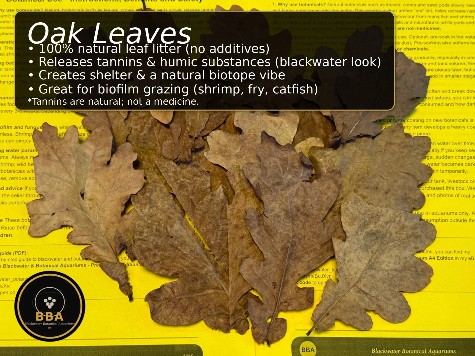 Dried Oak Leaves – Natural Aquarium Leaf Litter thumbnail 2