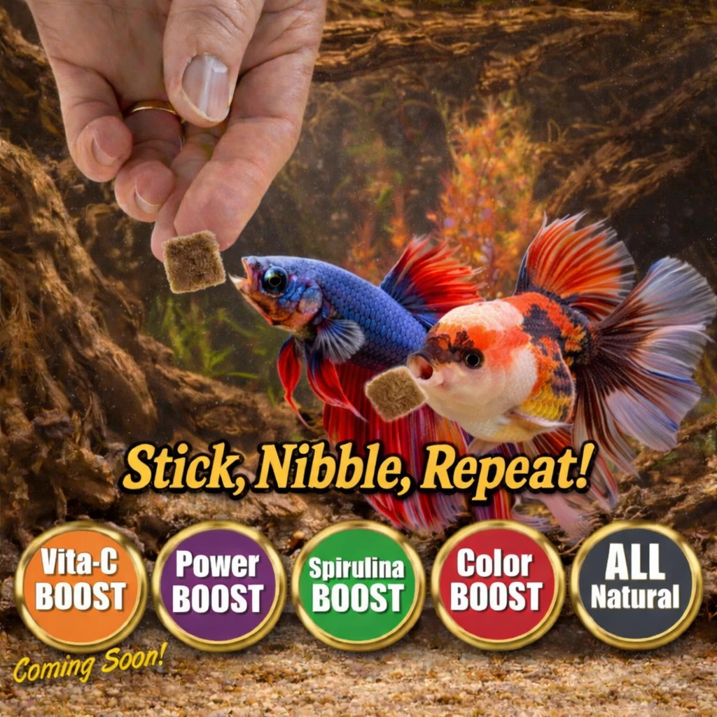 Premium Freeze-Dried Australian Blackworms thumbnail 3