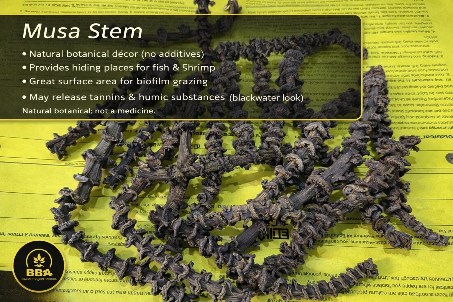 Musa Stem – Natural Botanical Stem Shelters thumbnail 2