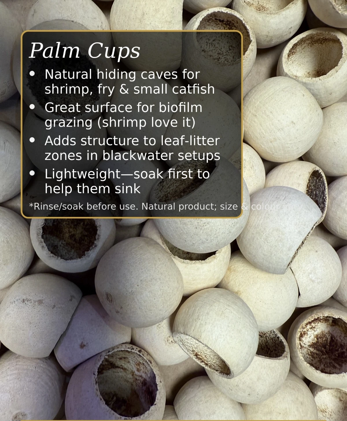 Palm Bell Cups – Natural Botanical Cups thumbnail 2