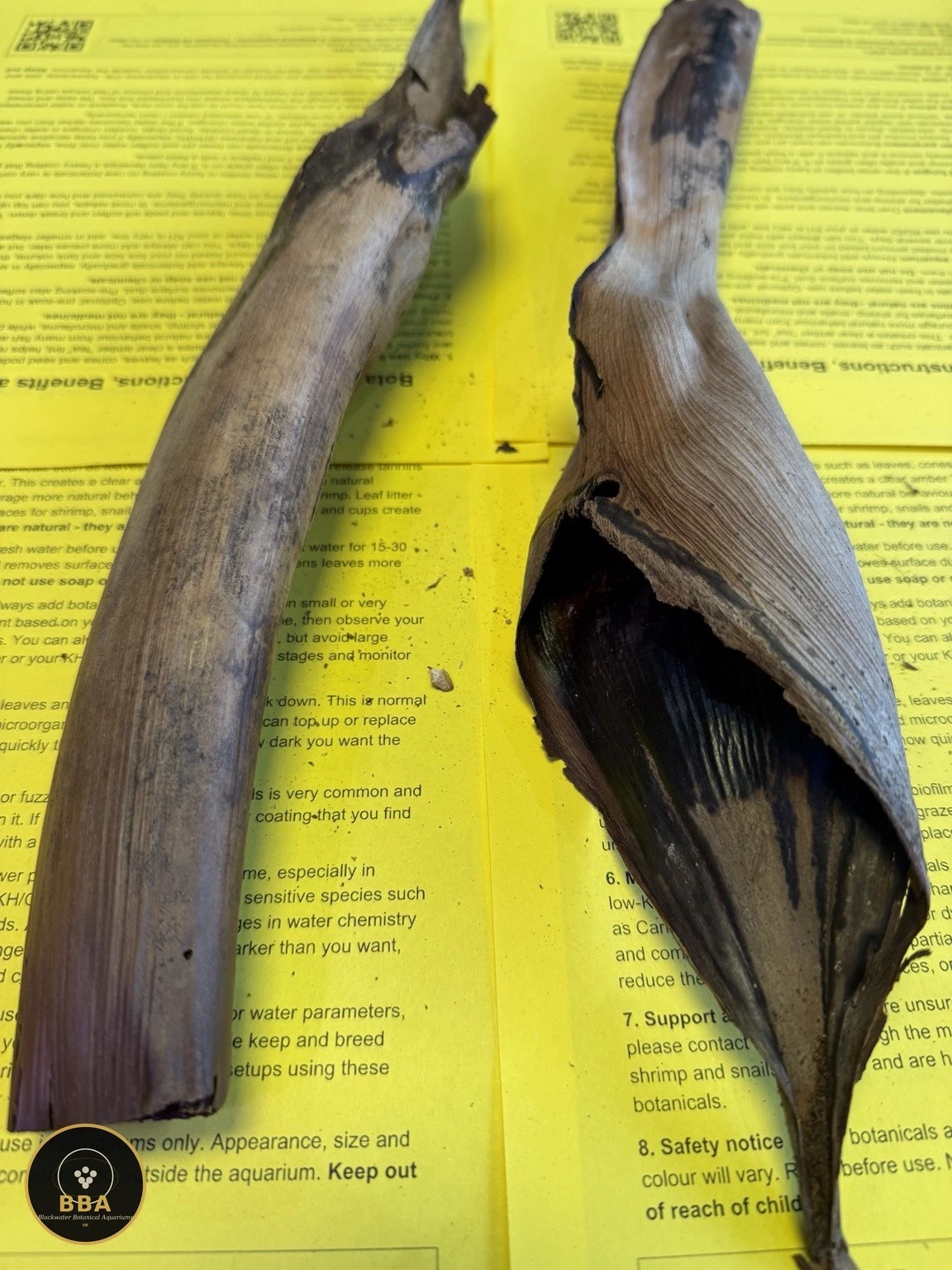 Palmyrah Male Sheath (Borassus flabellifer) – Large Botanical Shelter thumbnail 2