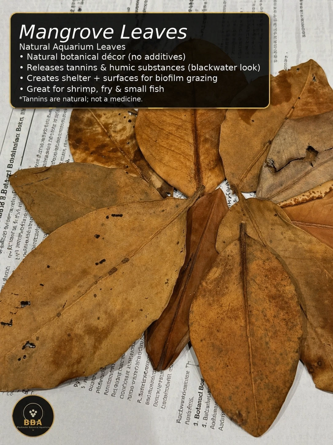 Premium Mangrove Leaves – Natural Aquarium Leaf Litter thumbnail 2