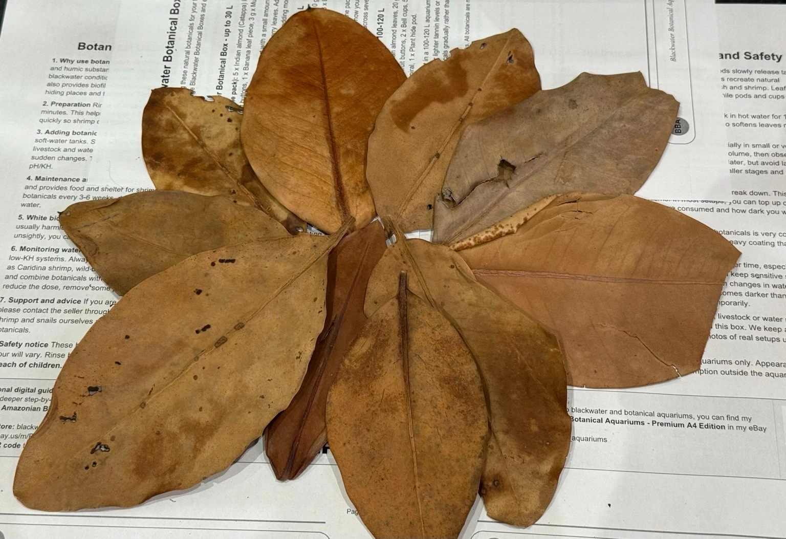 Premium Mangrove Leaves – Natural Aquarium Leaf Litter thumbnail 3