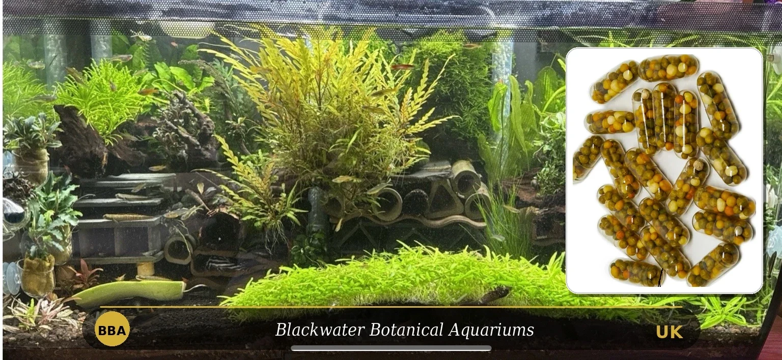 Aquarium ROOT TABS PRO thumbnail 3