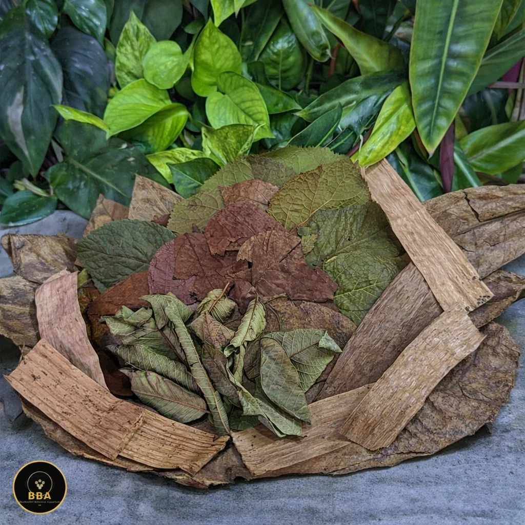 Snail Leaf Buffet Pack – 30–80L product image