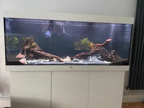 Aquarium shared by a BBA customer.