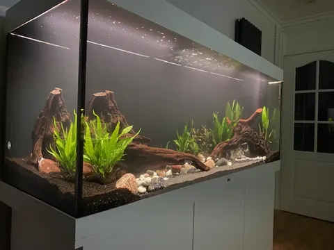 Aquarium shared by a BBA customer.
