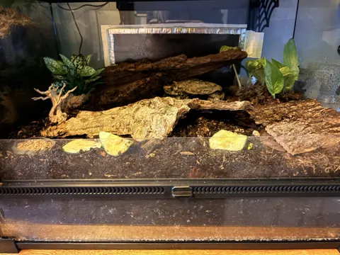 Aquarium shared by a BBA customer.