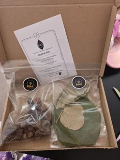 Customer photo for 26pcs Jungle Pod and Terrarium feedback.