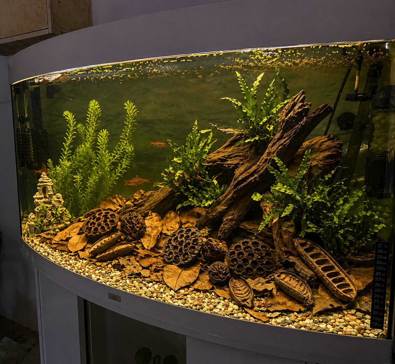 Aquarium display with plants, wood and botanical texture.