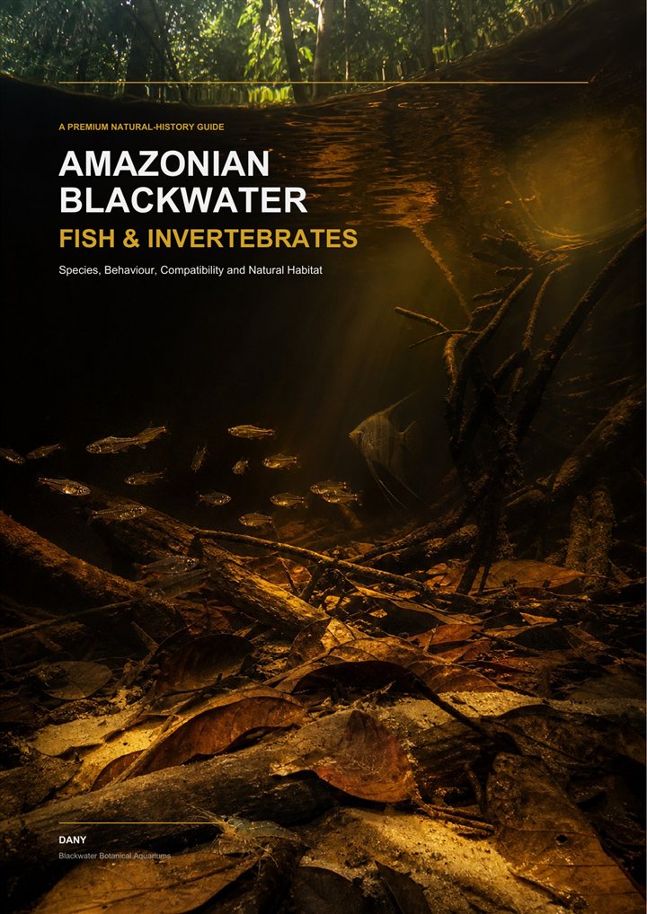 Cover of Amazonian Blackwater Fish and Invertebrates.
