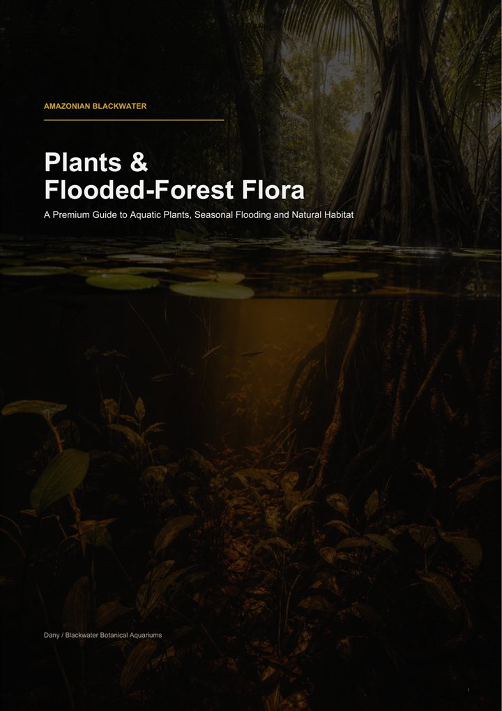 Cover of Amazonian Blackwater Plants and Flooded-Forest Flora.