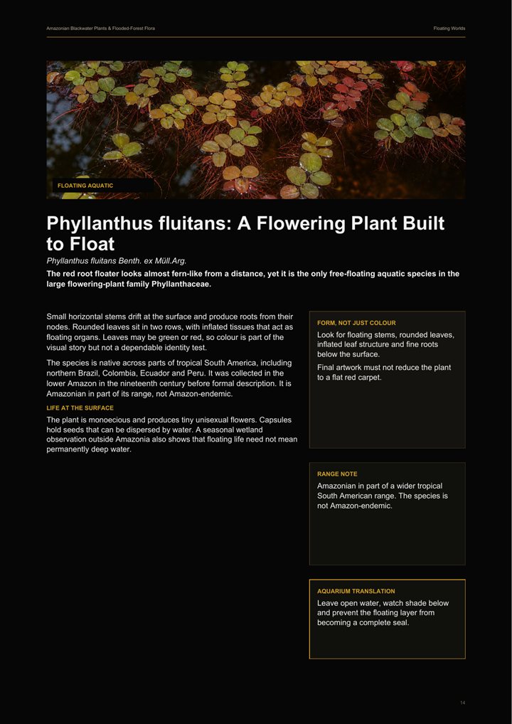 Preview page showing Amazonian floating plant communities.