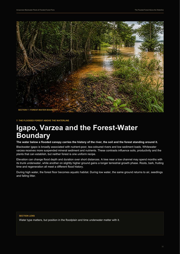 Preview page showing the seasonal Amazonian flooded forest.
