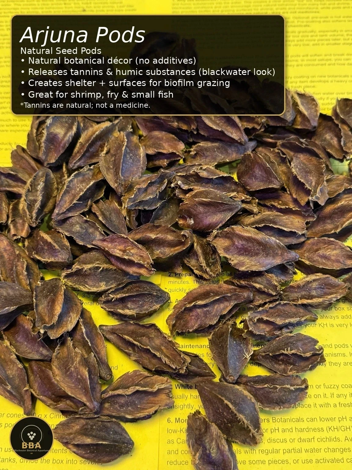 Dry Arjuna Pods supplied by Blackwater Botanical Aquariums