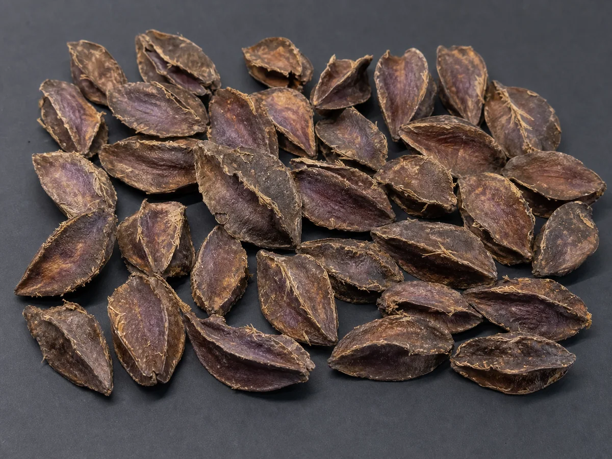 Arjuna Pods showing their natural shape and colour variation