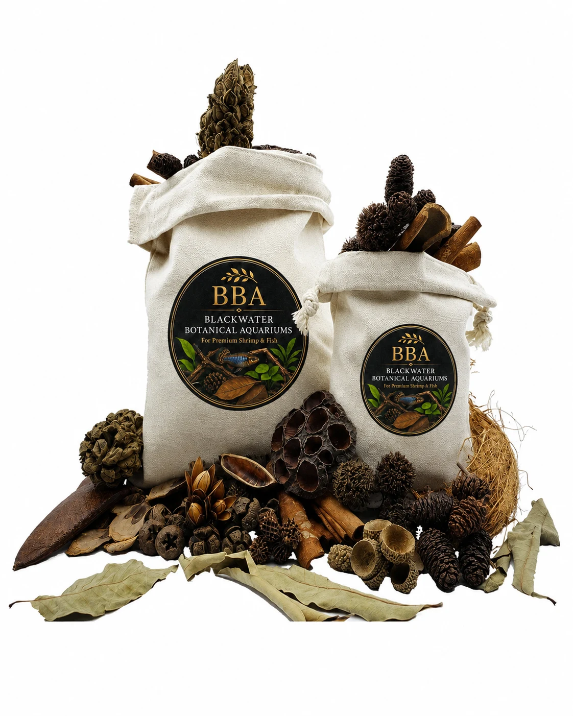 BBA Blackwater Botanical Starter Packs presented with mixed leaves, pods and cones