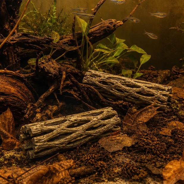 Cholla Wood / Cactus Skeleton illustrative aquarium mood