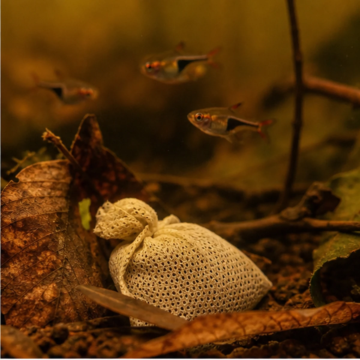 Lubao Bags – Slow-Release Botanical Sachets: GRAZING SURFACE