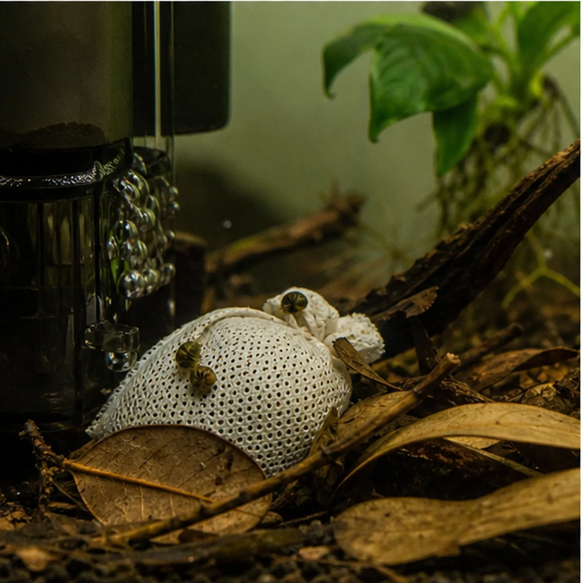 Lubao Bags – Slow-Release Botanical Sachets: CONTAINED USE