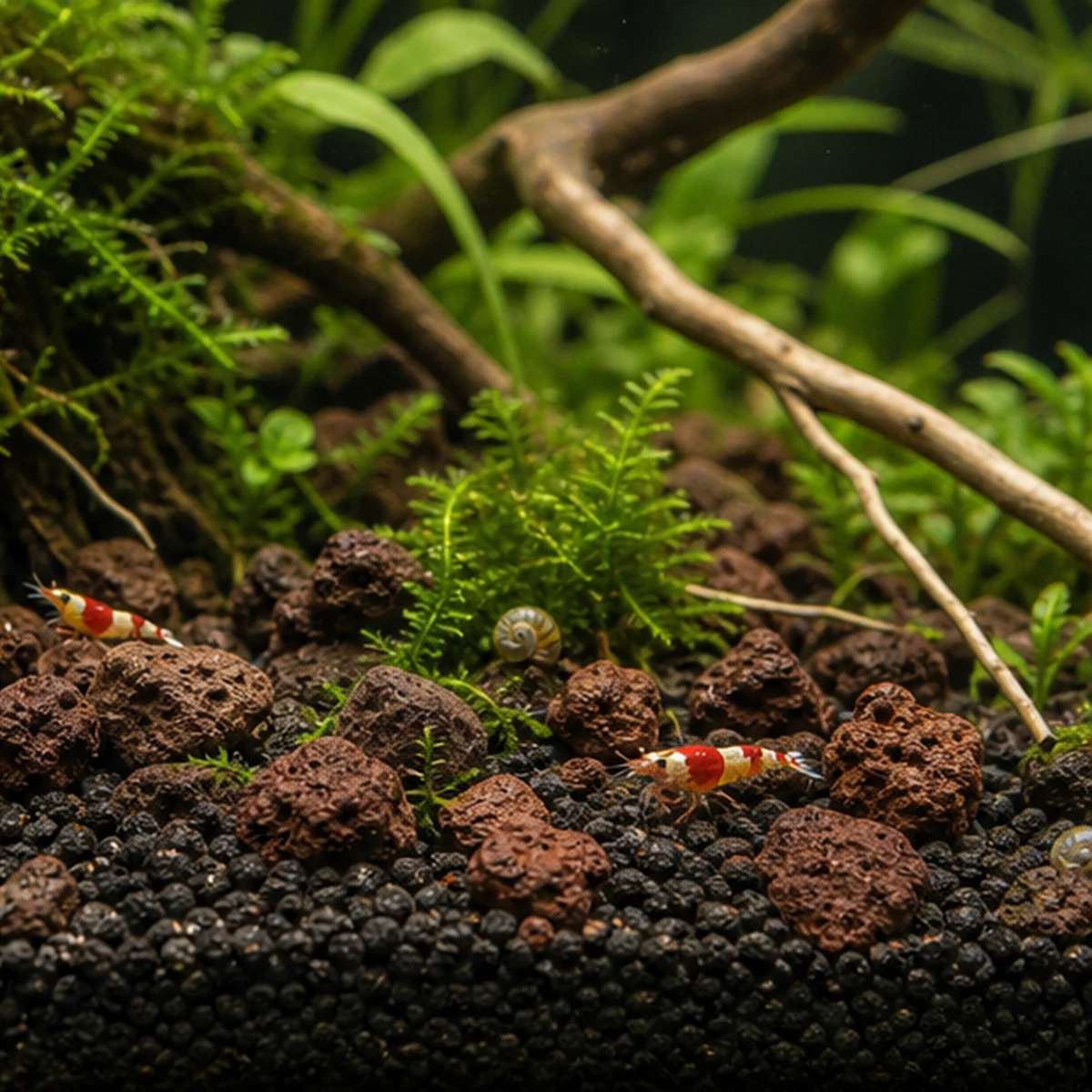 Natural Volcanic Lava Rock illustrative detail context scene