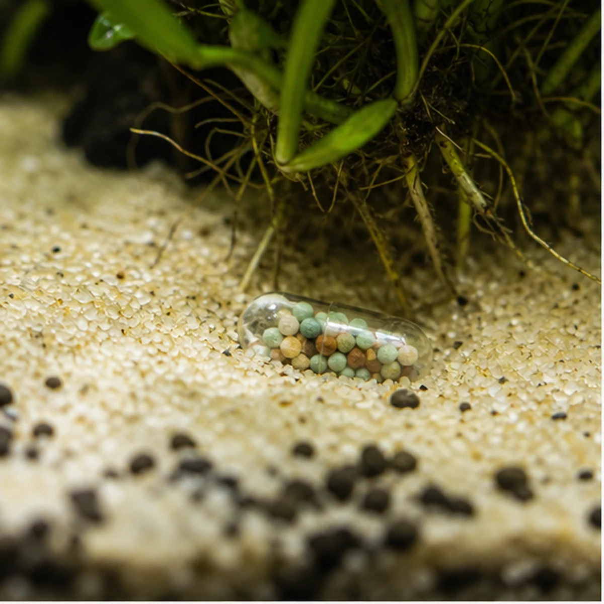 Aquarium ROOT TABS 14-14-14 illustrative Root-zone detail scene