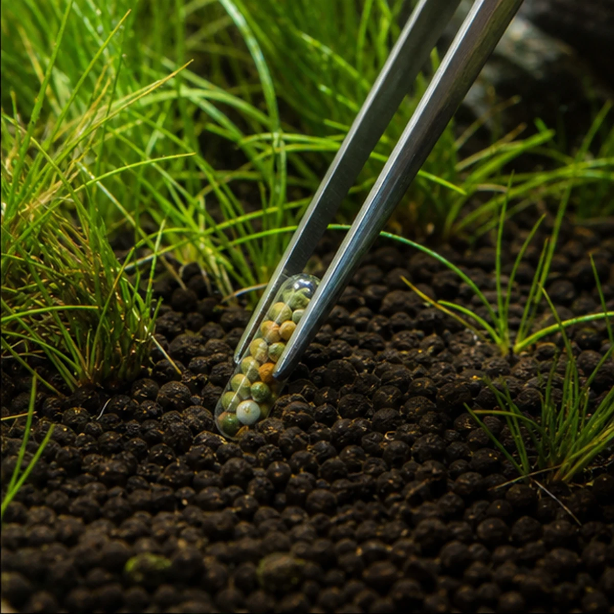 Aquarium ROOT TABS PRO illustrative Placement route scene