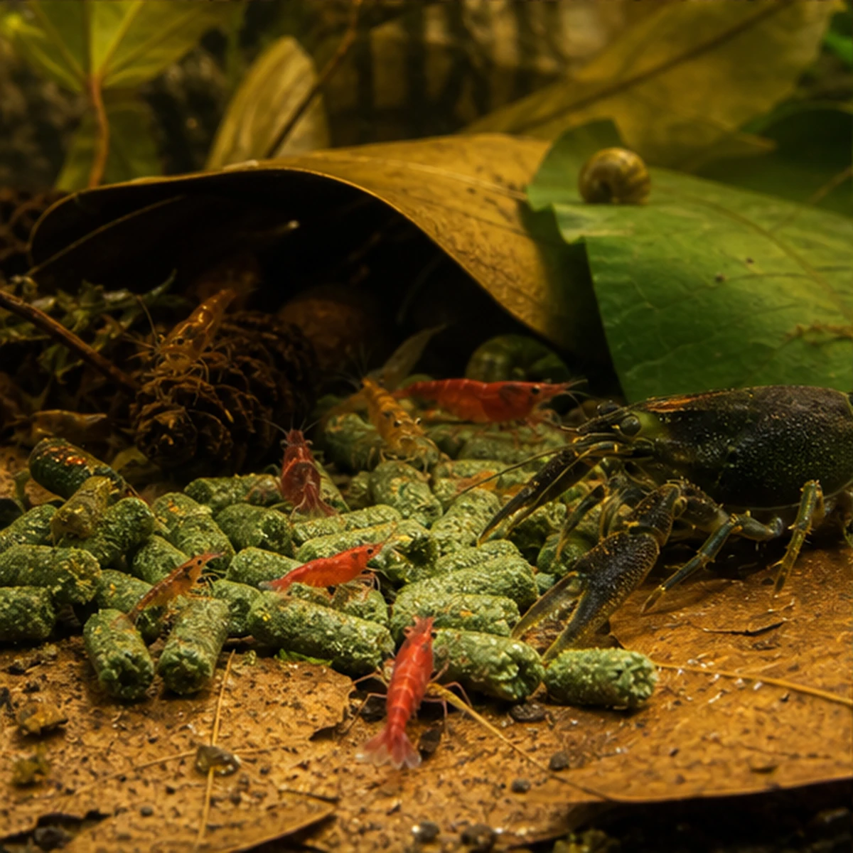 Grazing + Leaf Litter + Tannins Mini Bundle – Shrimp/Blackwater Pack community route illustrative scene
