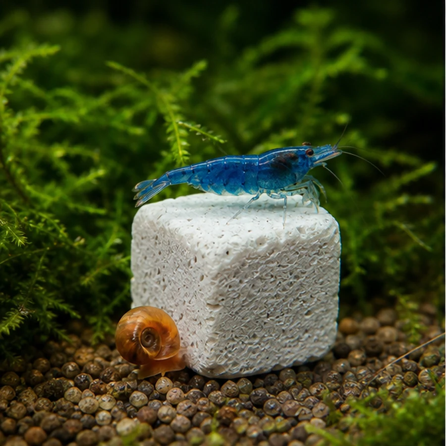 Calcium Mineral Grazing Blocks illustrative product-world scene: White cube grazing detail