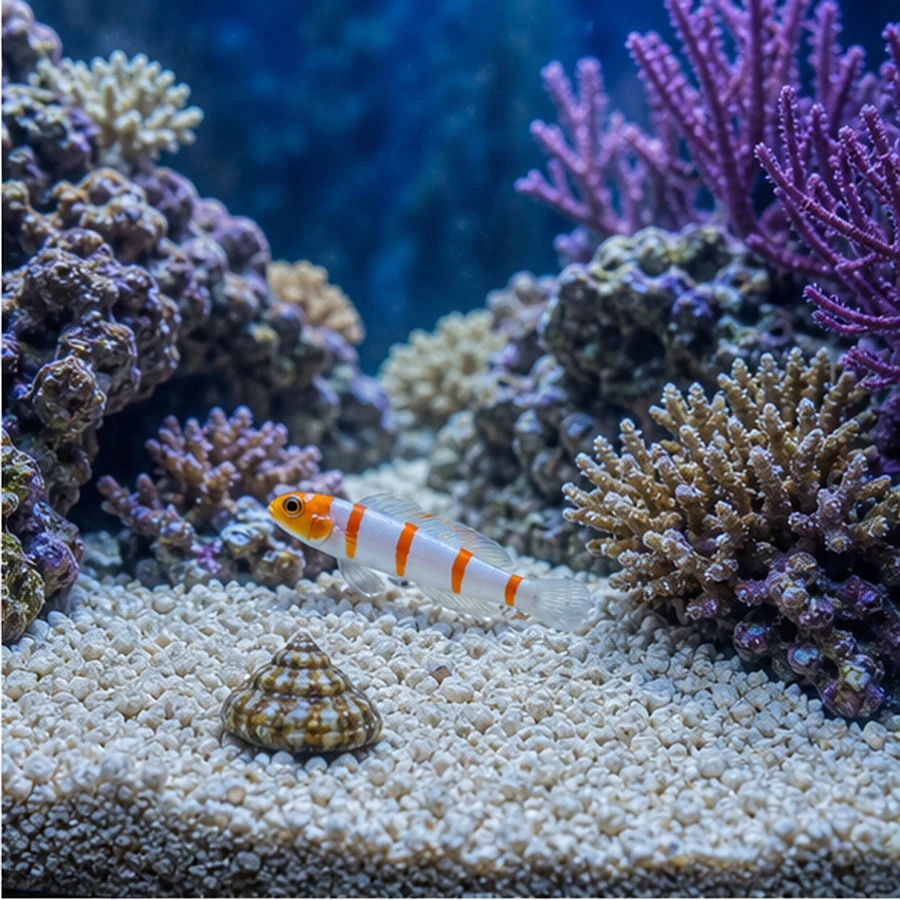 CaribSea Crushed Coral / Aragonite illustrative product-world scene: Marine substrate setting