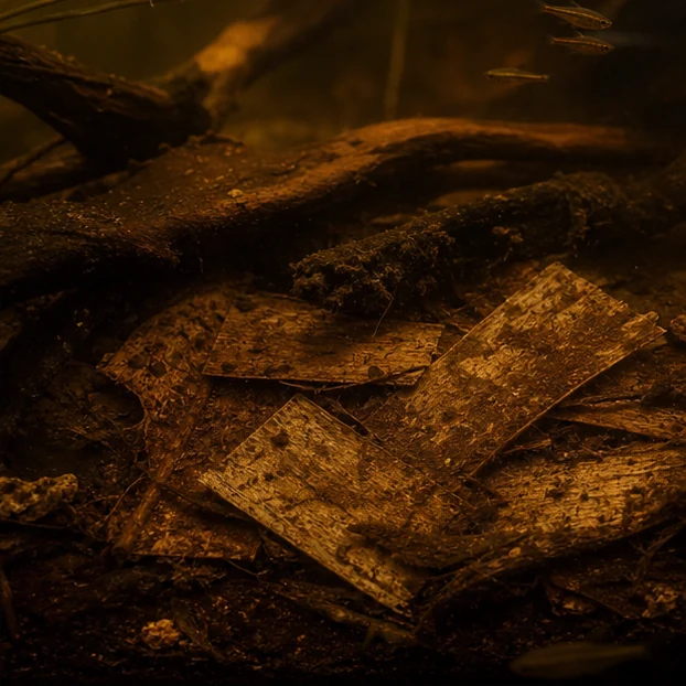 Banana Leaf Pieces illustrative context scene - breakdown context