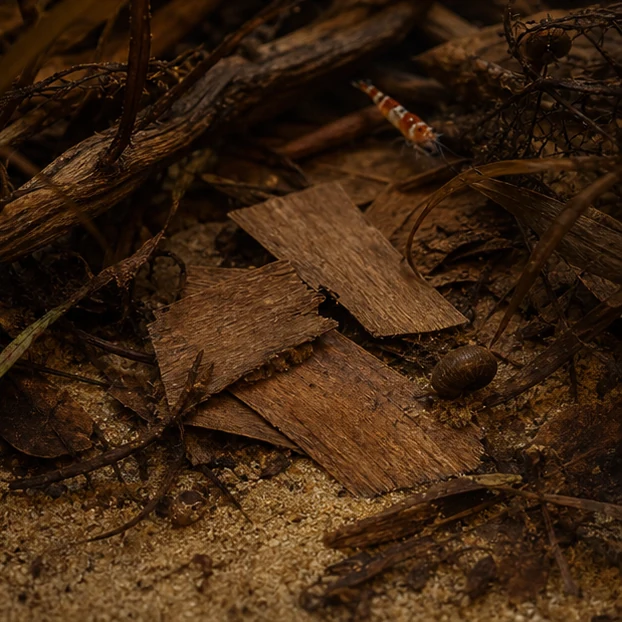 Banana Leaf Pieces illustrative context scene - substrate/leaf litter