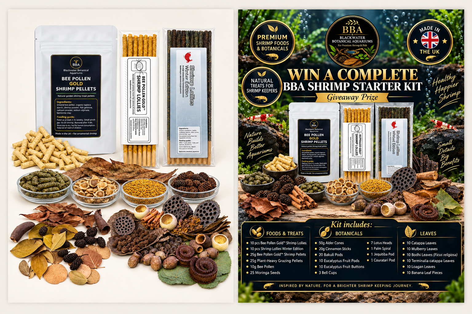 The complete BBA Shrimp Starter Kit prize with foods, treats, leaves, pods and natural shelters.