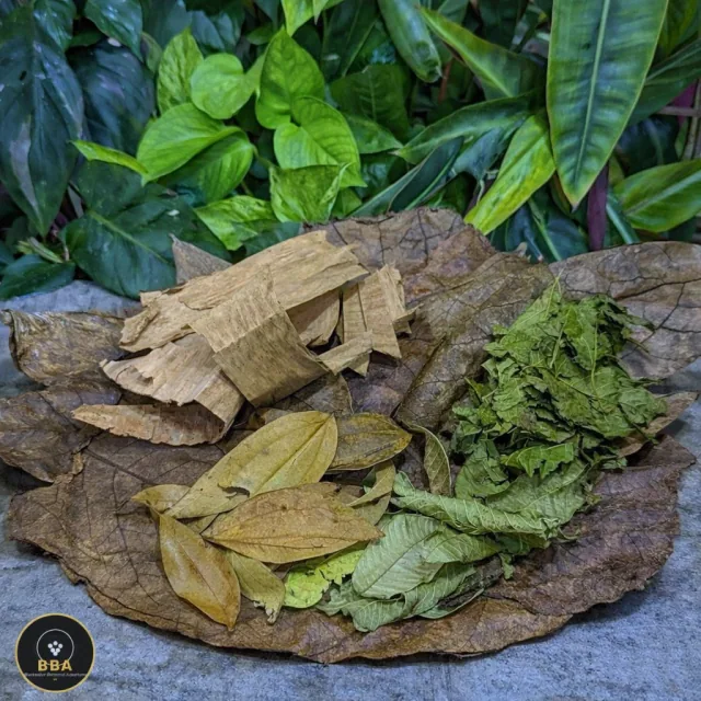Blackwater Leaf Box – Leaf Litter Starter Mix product image