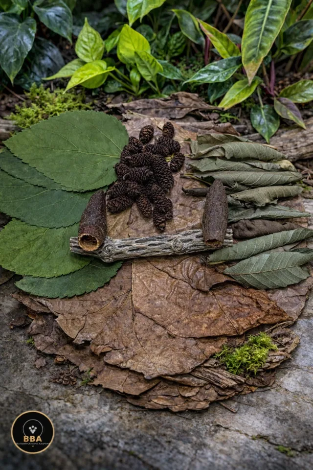 Blackwater Shrimp Bundle – Leaf Litter, Cones, Pods & Cholla
