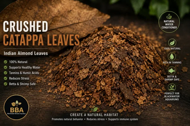 Crushed Catappa Leaves – Indian Almond Leaf Pieces product image