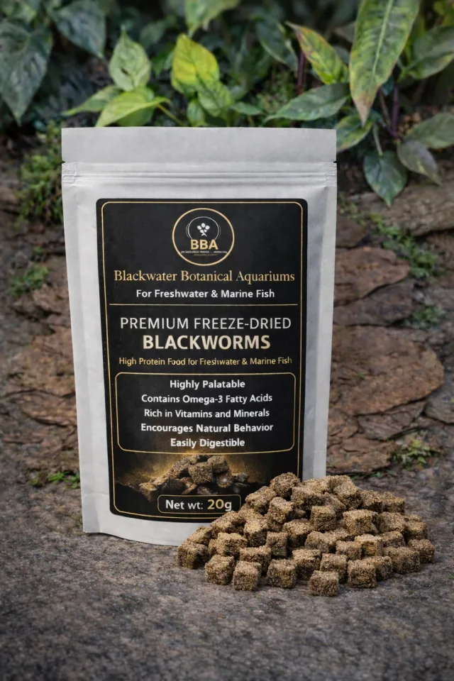 Premium Freeze-Dried Australian Blackworms product image